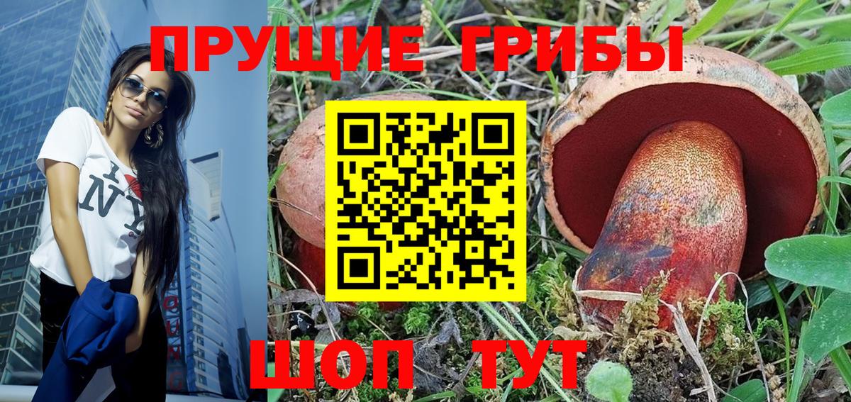 Псилоцибиновые грибы Psilocybe  Вход с VPN  Медногорск 