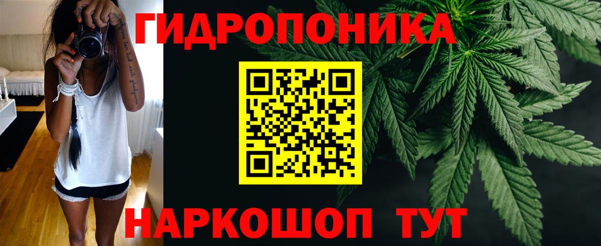 Бошки Шишки сатива Медногорск